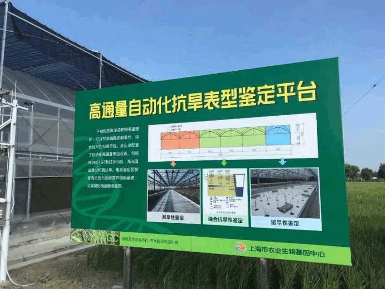 上海市农业生物基因中心高通量抗旱表型鉴定平台